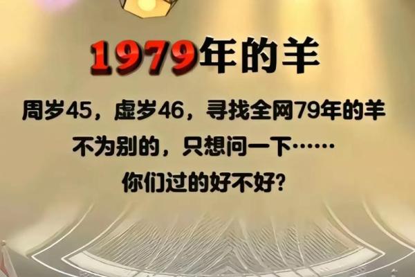 属羊的今年多大了