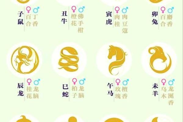 十二属相排列顺序