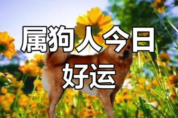 70年属什么生肖