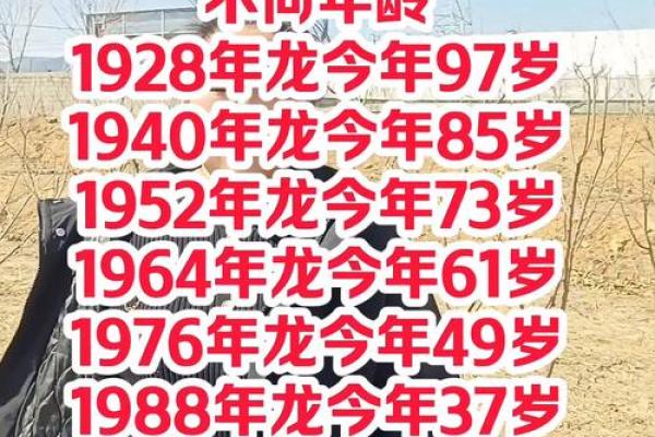 龙和蛇属相合不合