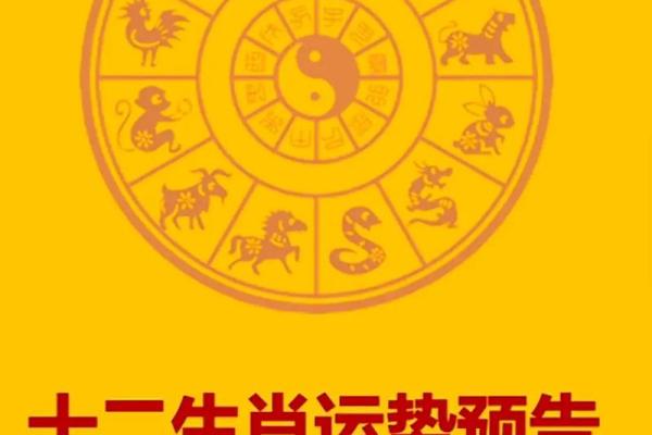 53年属什么生肖