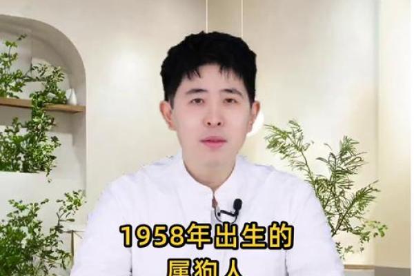 1958年属什么生肖