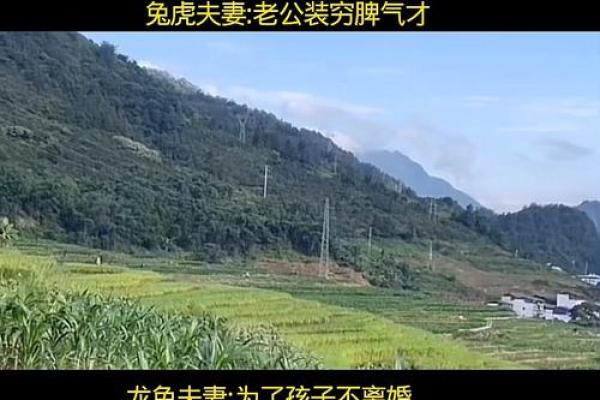 过不到头的夫妻属相