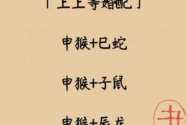 属蛇的最佳婚配