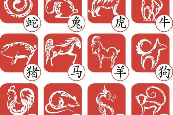 属猪披麻戴孝哪一年 属猪披麻戴孝哪一年