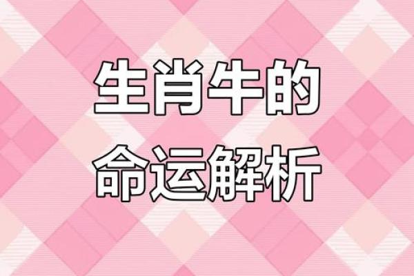 属牛2025躲不过去大难 属牛2025躲不过去大难