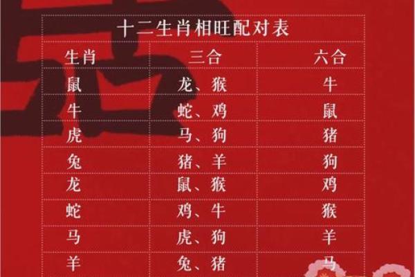三合和六个合生肖是什么意思