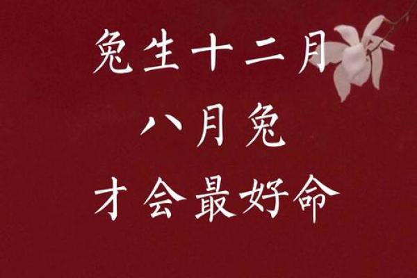 几月兔子命最好