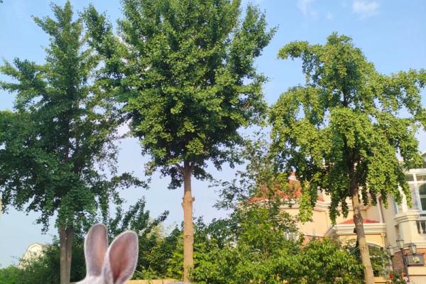 99年属什么生肖