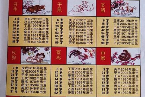 生肖年份对照表