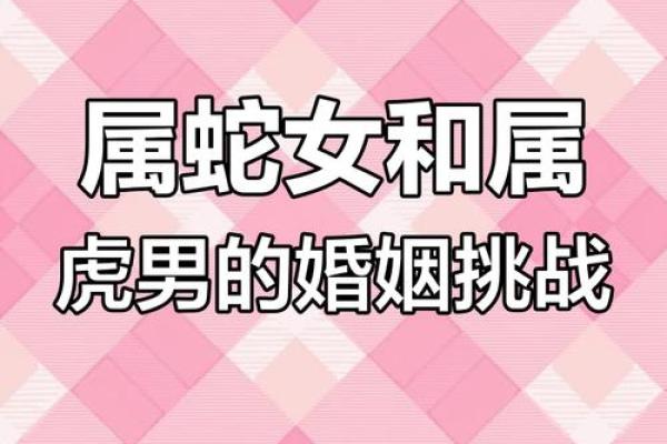 属虎的最佳婚配