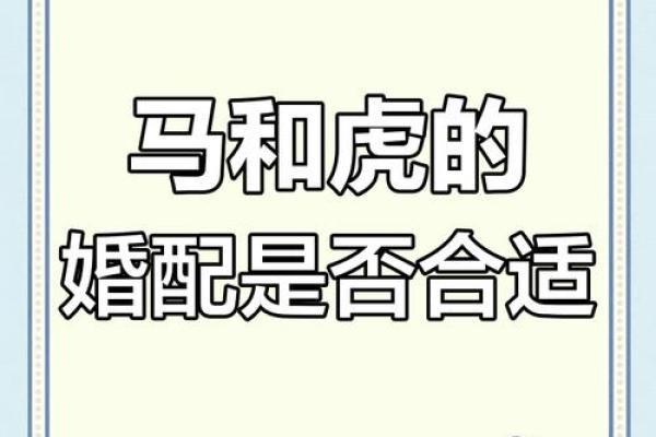 属虎的最佳婚配