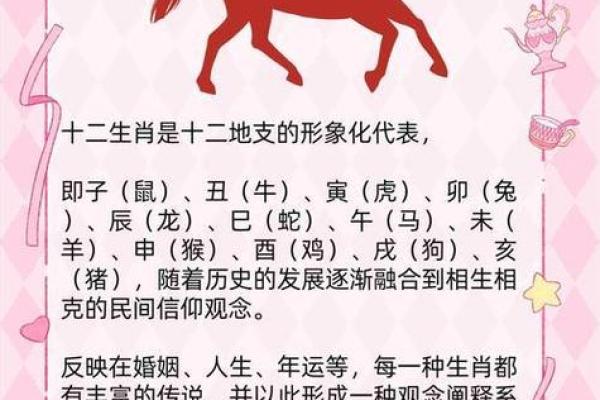 1955年属什么生肖