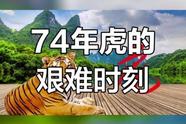 74年属虎是什么命