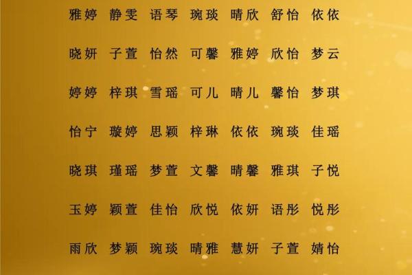 2025年是属什么年