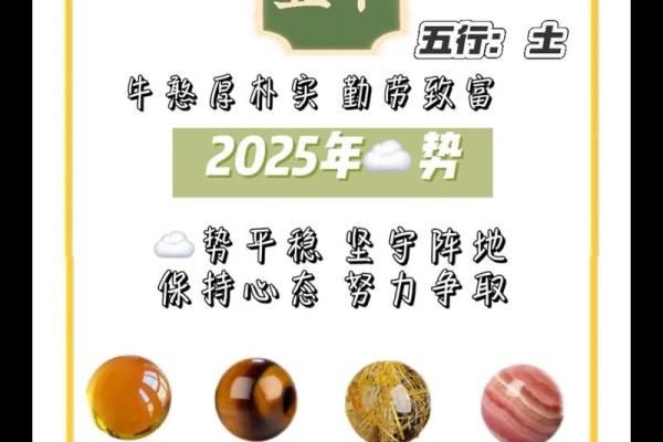 属鼠和属牛配不配