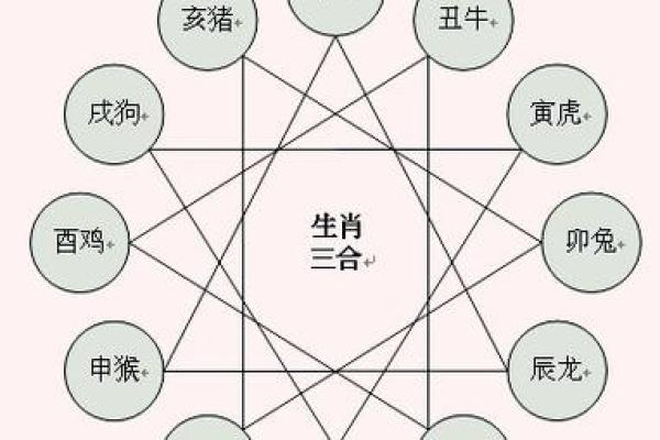 十二生肖相克相冲表