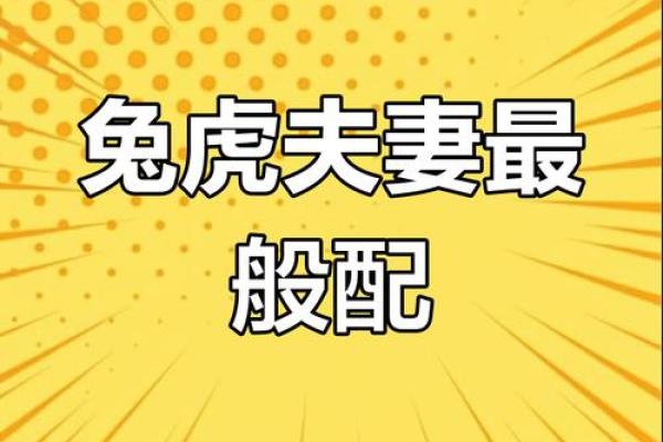 87属兔二次婚姻在几岁