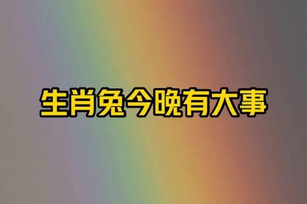 今晚打一准确生肖