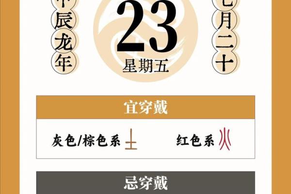 今晚打一准确生肖