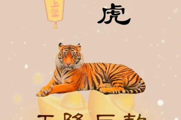 属虎的今年多大
