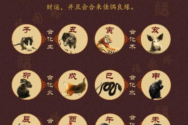 龙的三合和六个合生肖