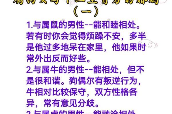 72年属什么生肖