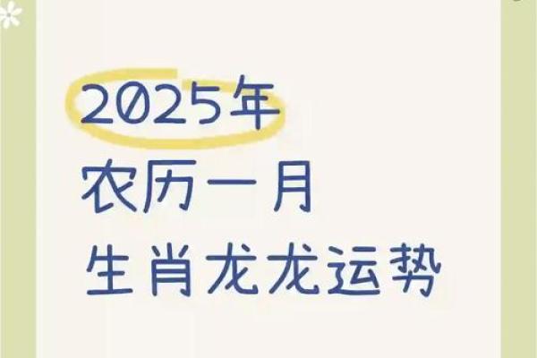 属龙人2025年全年运势运程