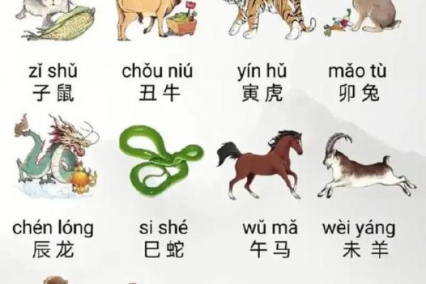 蛇和鼠属相合不合