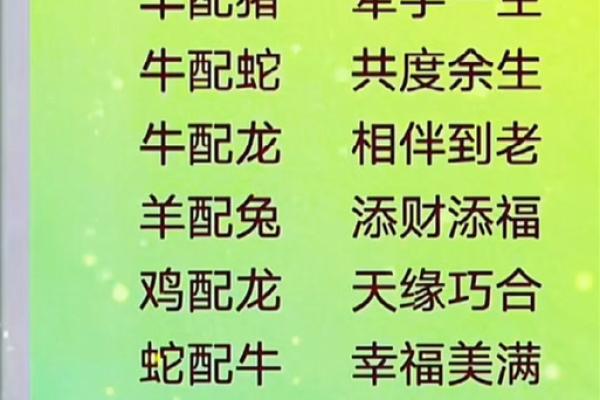 鸡最不合适的属相
