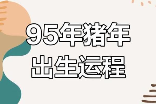 95年属猪最难熬是哪年