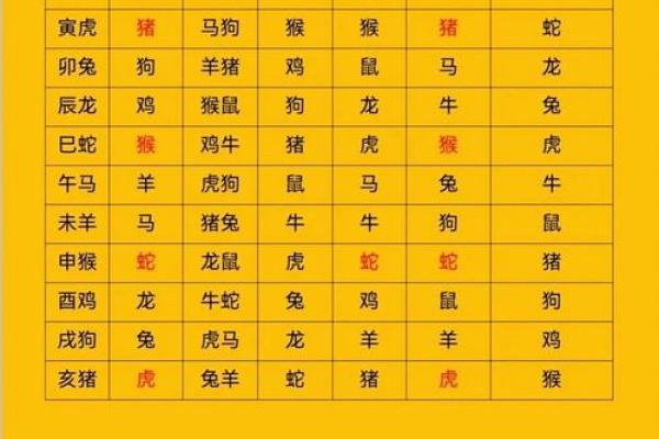 属猪三合和三冲属相