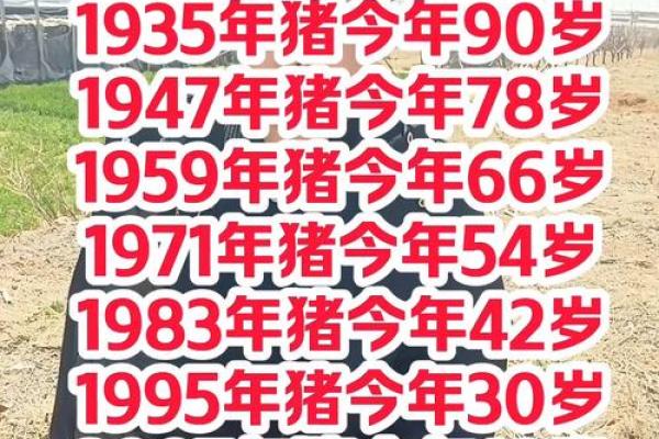 71年属猪55岁后命