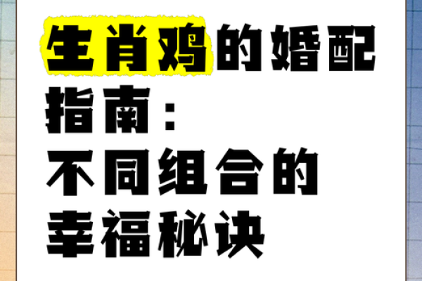 属龙和属鸡配不配