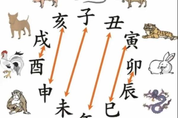 虎和蛇的属相合不合