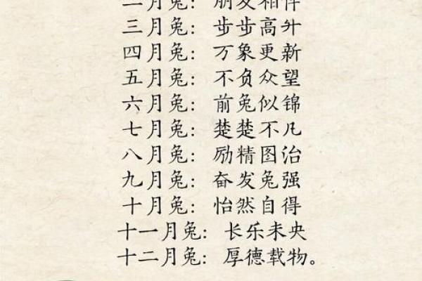 属兔的是哪年出生的