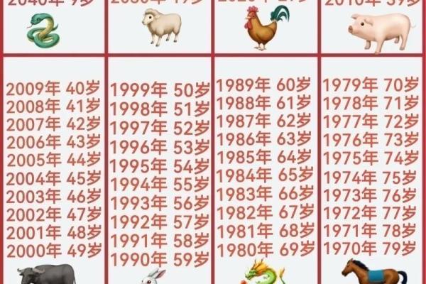 1954年属什么生肖