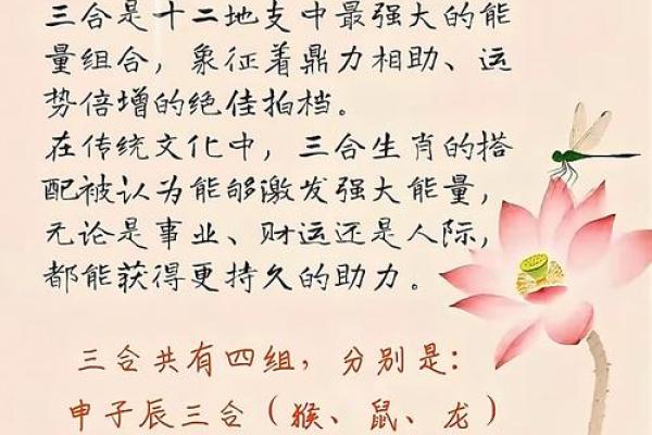 属猴三合和三冲属相