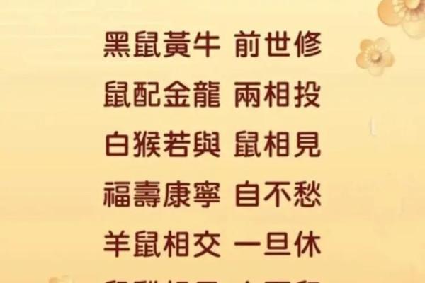 属鼠和什么属相最配