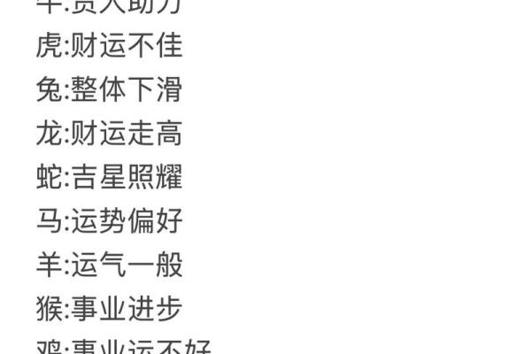 属马人今日运势