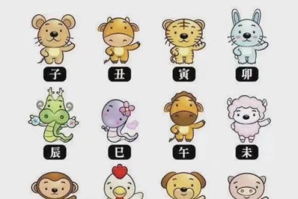 2016年属什么生肖