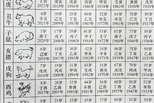 79年属什么的生肖