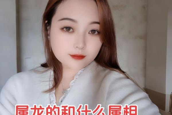 属龙和什么属相最配