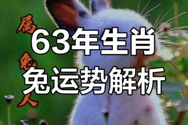 1962年属什么生肖