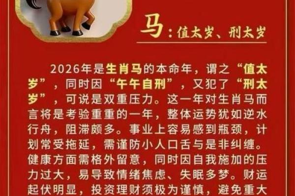 2026年犯太岁的生肖
