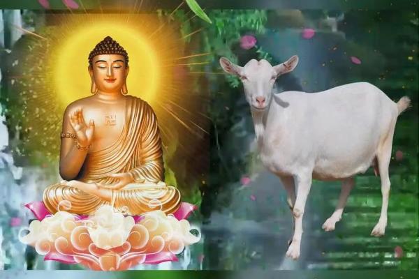 79年属什么生肖