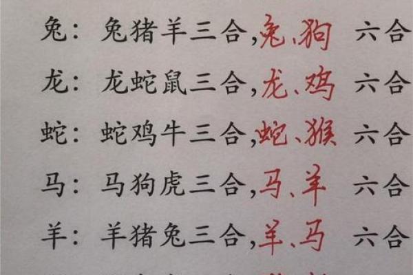 虎的三合和六个合生肖是什么