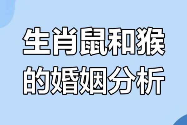 1992年属猴的最佳配偶