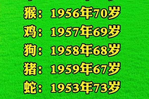 1948年属什么生肖