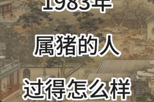 83年猪最难熬的三年